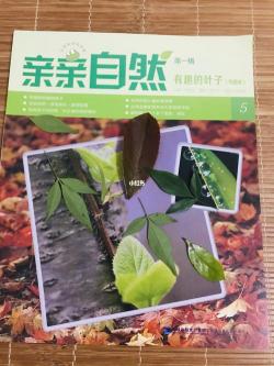 奇妙的自然之旅：探索大自然的奥秘与美丽