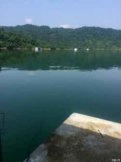 杏林湾钓鱼基地：享受自然垂钓乐趣的理想之地