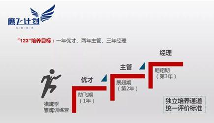 财务经理工作总结与计划：驱动公司财务稳健发展的指南