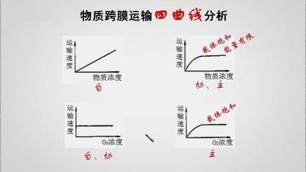 探索调节的奥秘：从环境调节到生物系统的深度解析