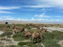 桃山国际狩猎场：历史悠久的北方狩猎旅游胜地