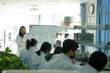 白磷燃烧的化学之旅：探索化学方程式的奥秘