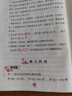 秋天的雨课文：探索秋天的诗意与魅力