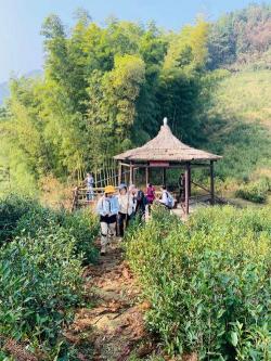 余姚大隐镇的天下玉苑：赏玉石、游公园，美景与文化的完美结合