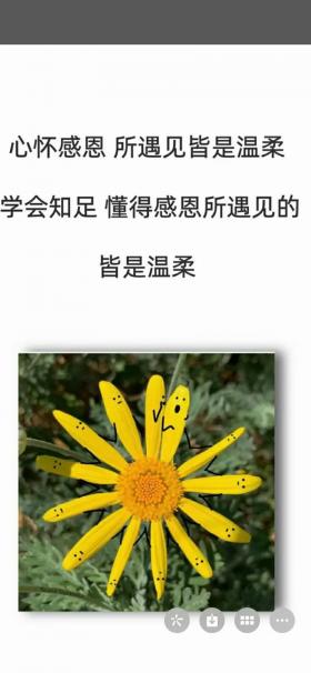 心存感恩的经典语句：用感恩之心照亮人生之路