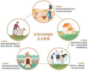 可持续发展的五大原则：协调、创新、调控、合作与突破